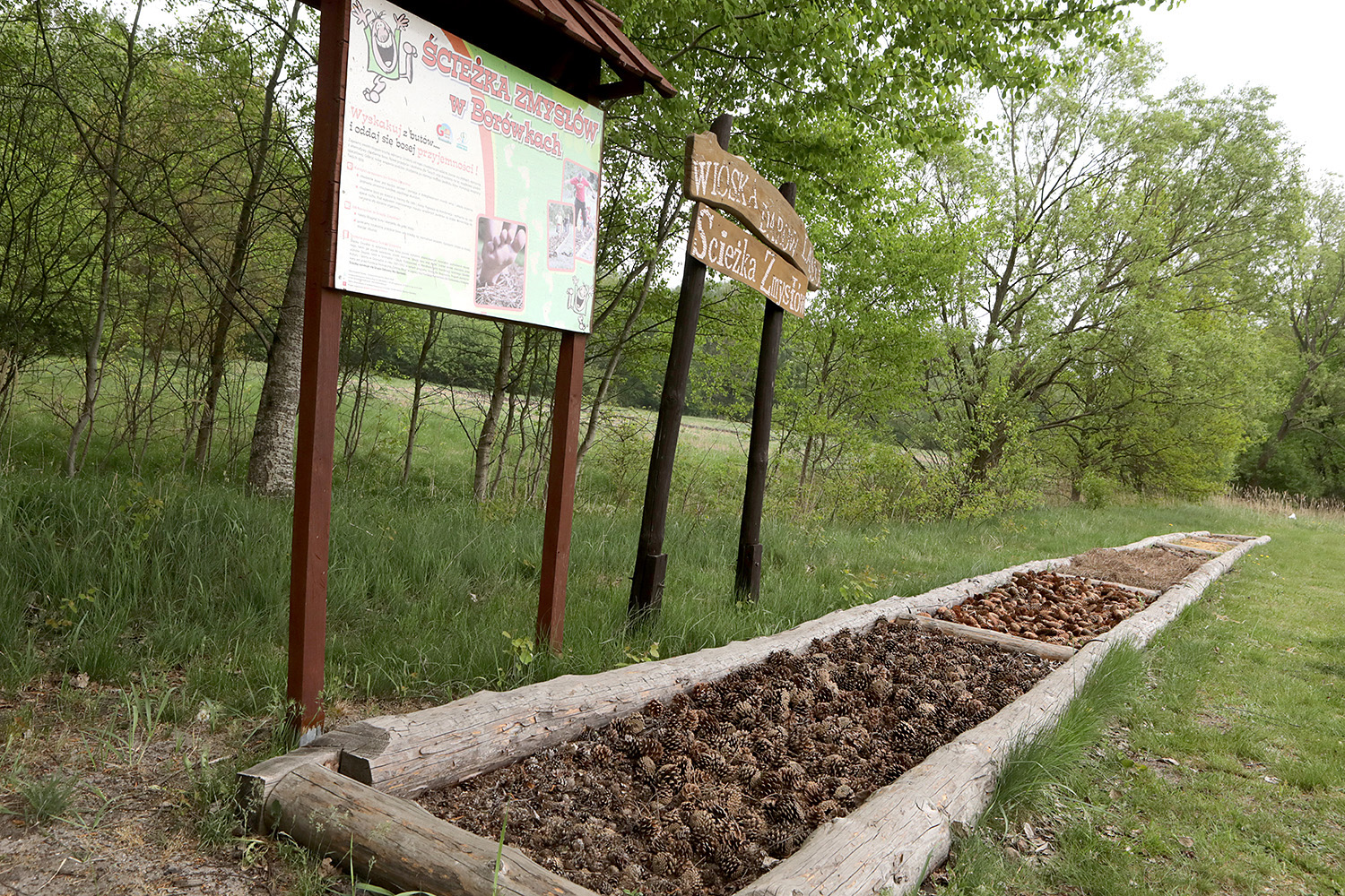 Wędrówki z przyrodą w Borówkach - 2