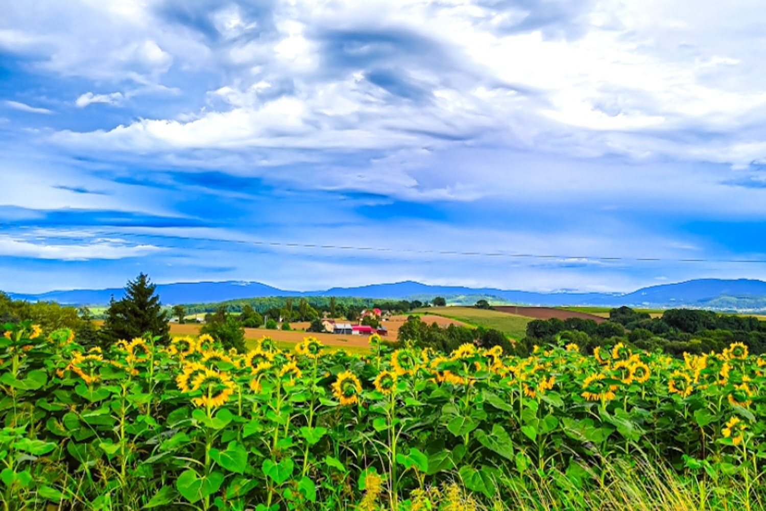 Zamarski pełne śladów historii - 4