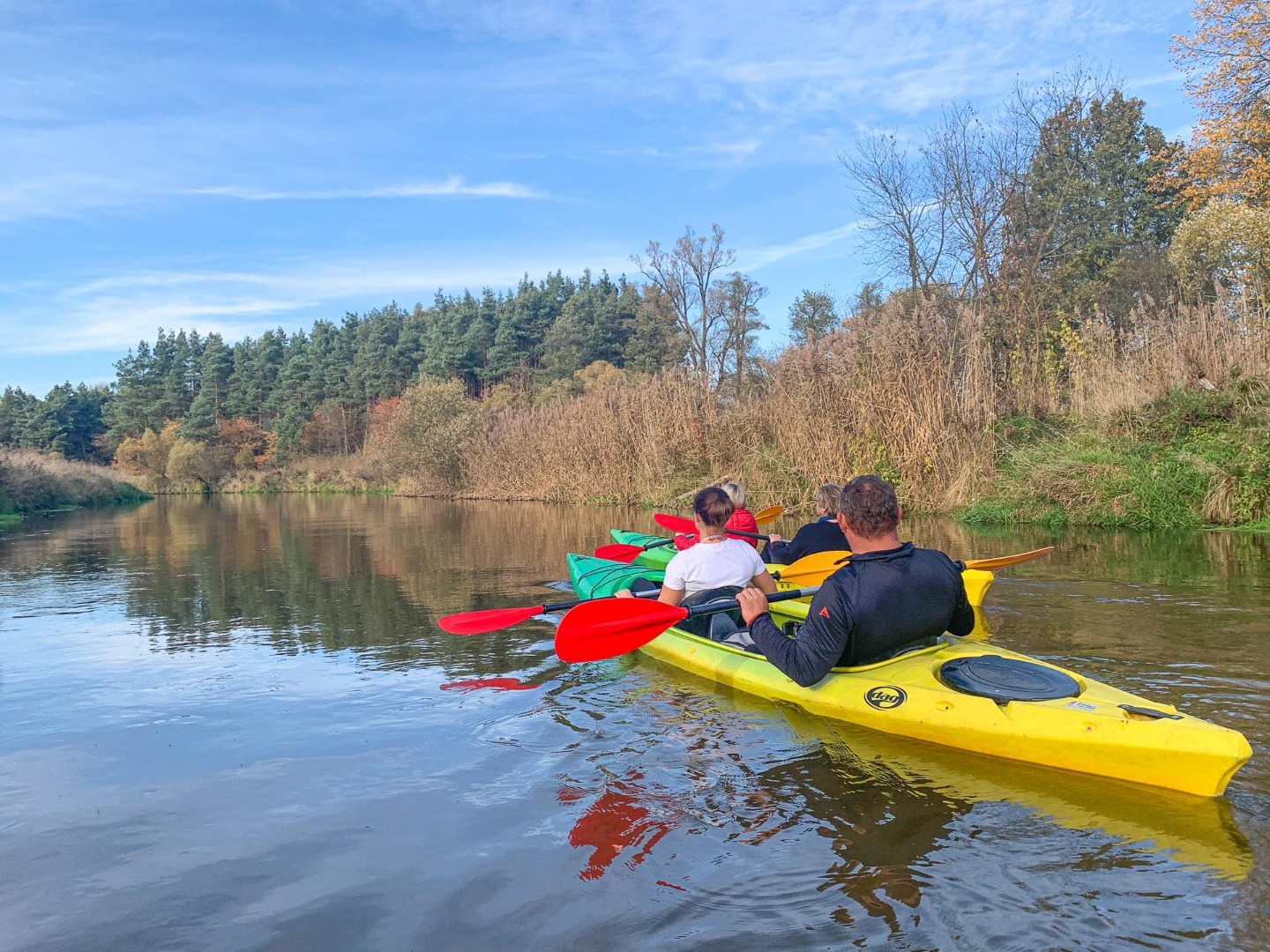 Meandrami Małej Panwi - 2