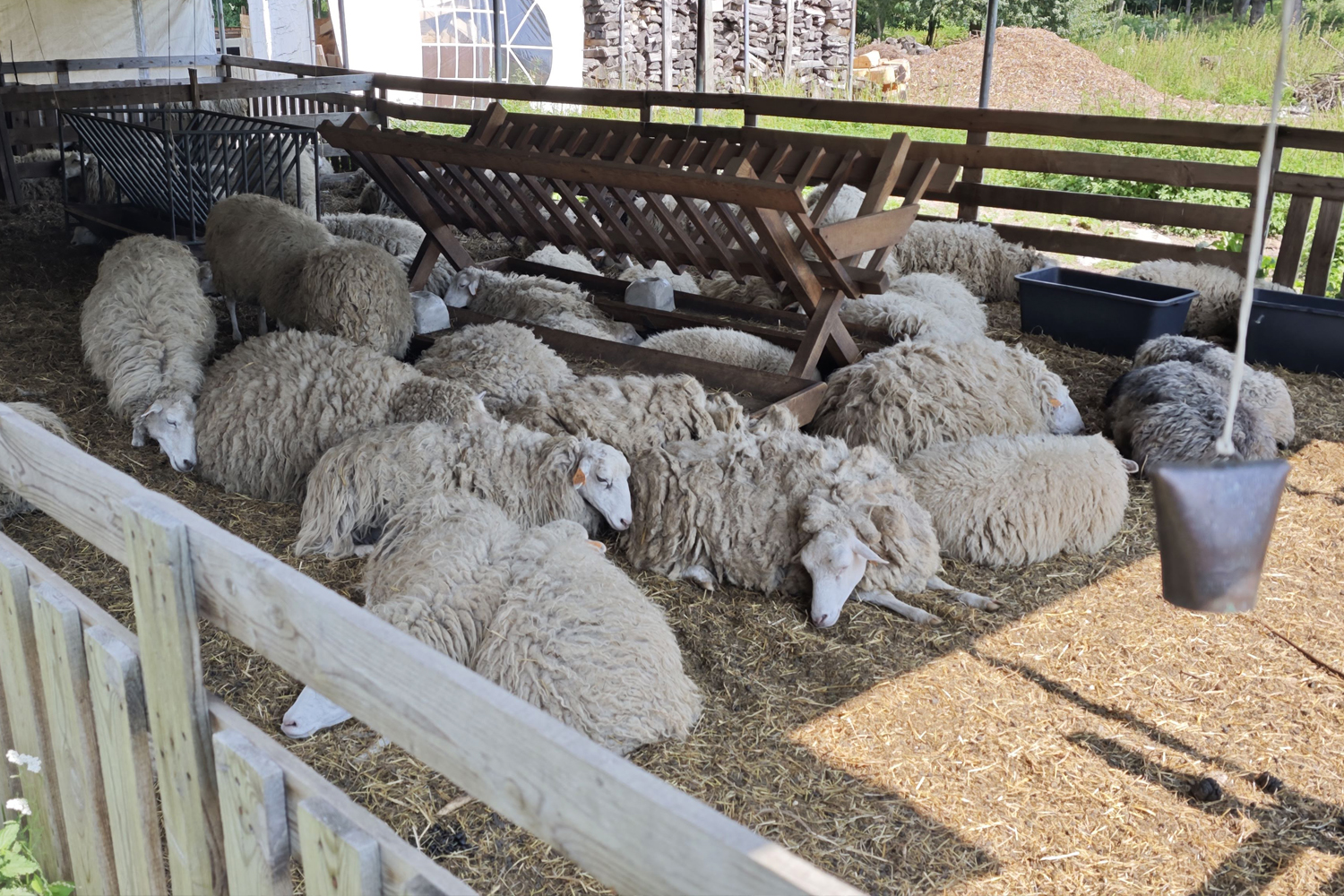 Janowiec – QuestOwiec - 5