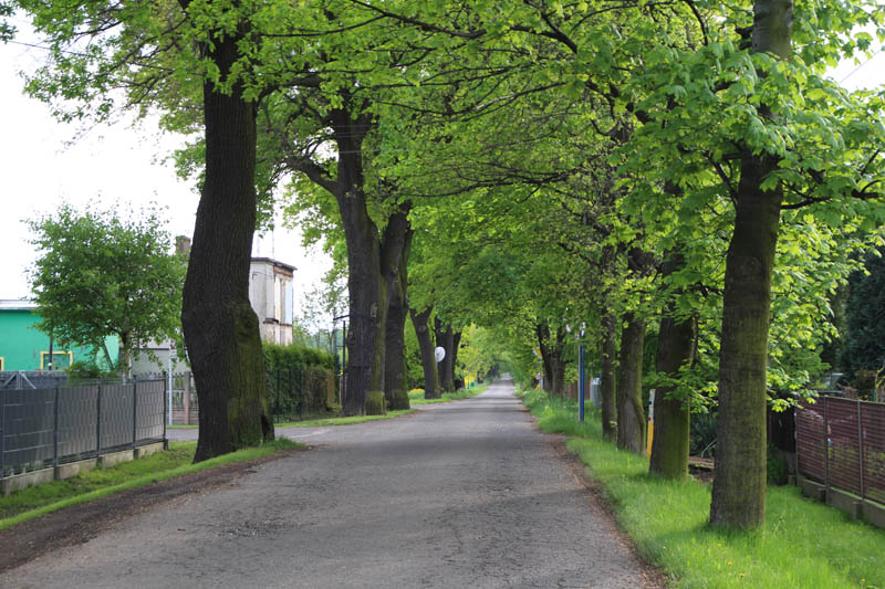 Ornontowice. Spacer z historią - 3