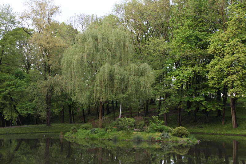 Ornontowice. Spacer z historią - 6