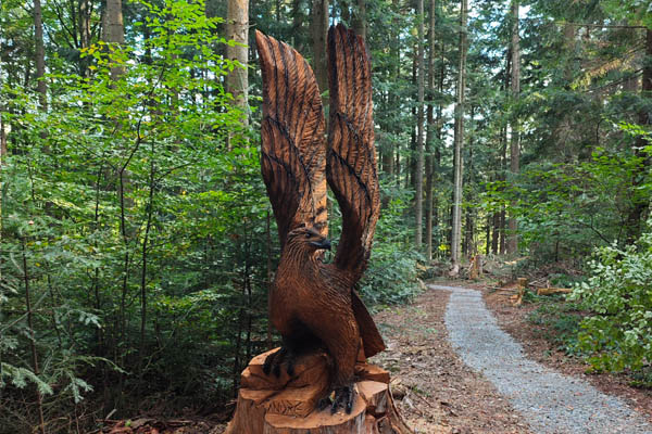 Dolina Przysłupianki skarbnicą czystego powietrza - 4
