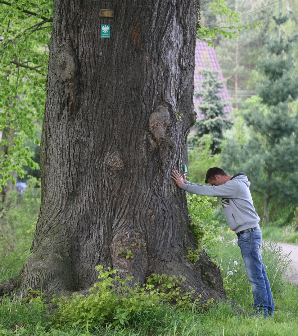 Wędrówki z przyrodą w Borówkach - 3