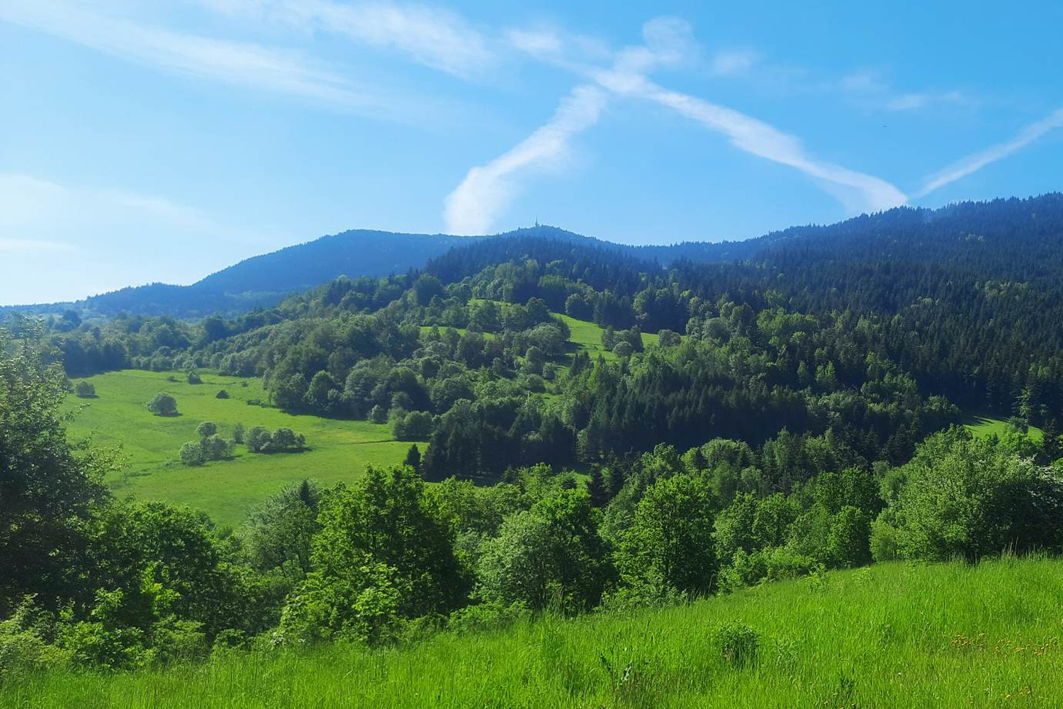 Historia z Toporem w tle - 2