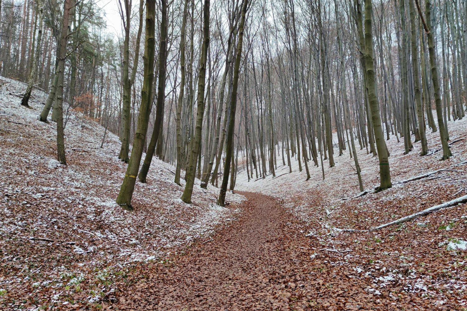 Zagórze - „wioska u źródła” - 5