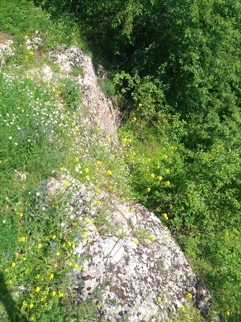 Wyczerpy nad Wartą odwiedzić warto - 2