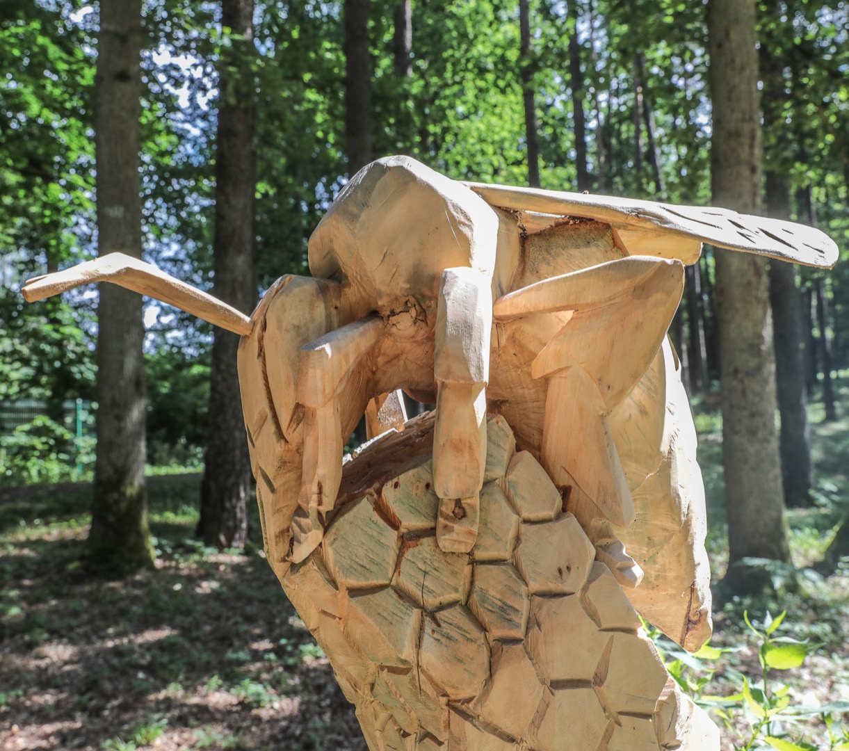 Wyprawa po Leśnym Arboretum Warmii i Mazur - 3