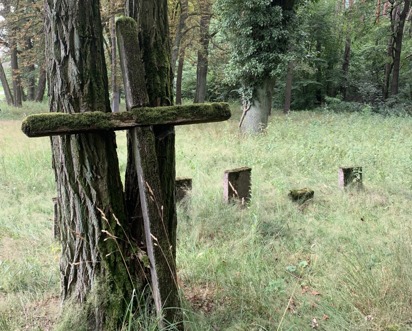 Cmentarz wojenny w Ulejowie