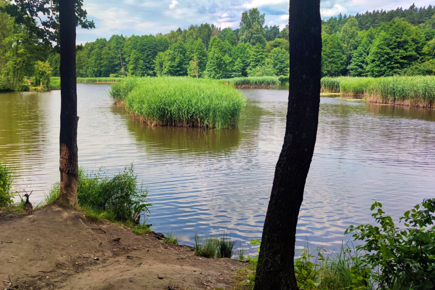 Odkryj z nami zalew w Cedzynie - 5