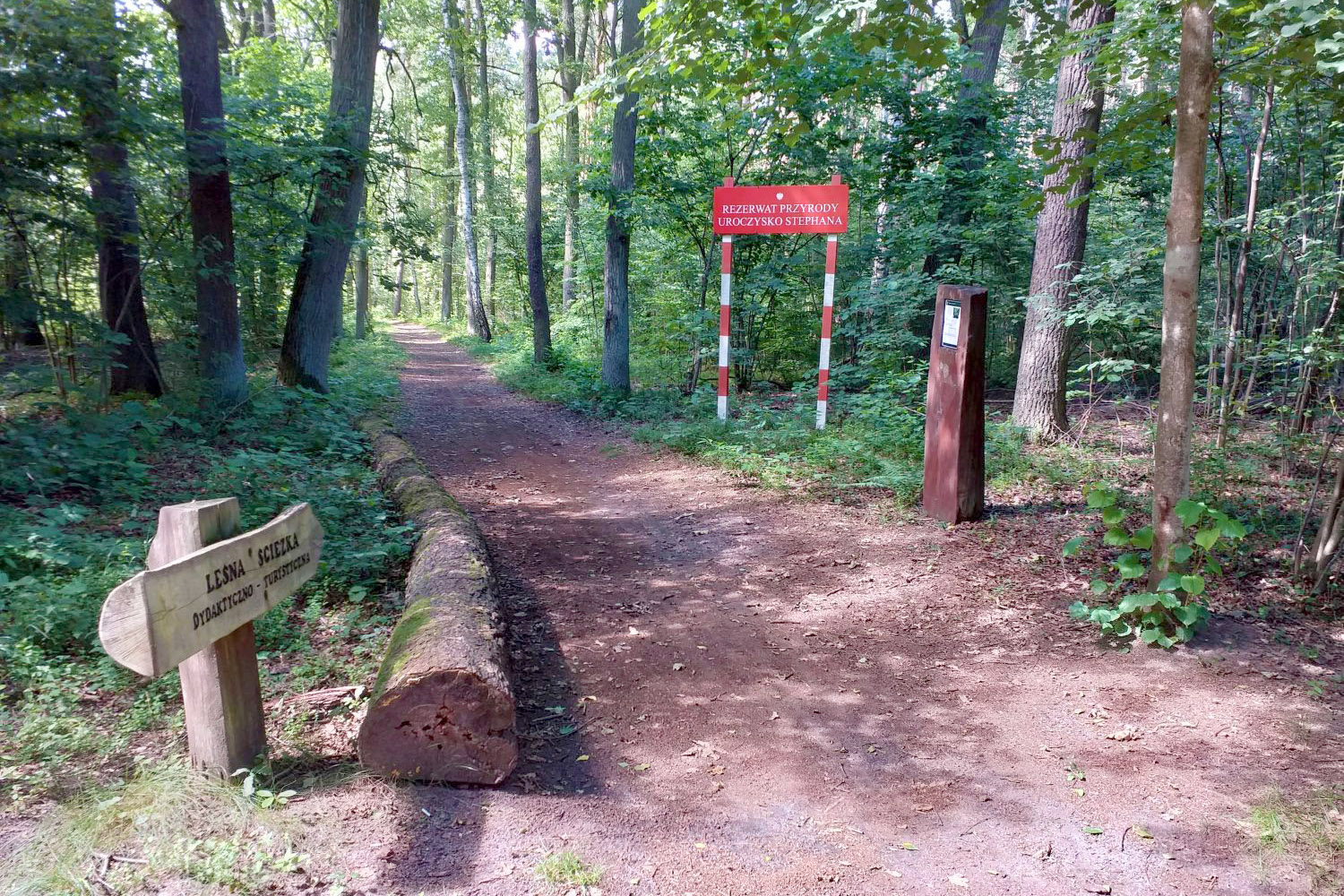 Rajd Szlakami Chojnowskiego Parku Krajobrazowego. Leśna kuchnia - 5