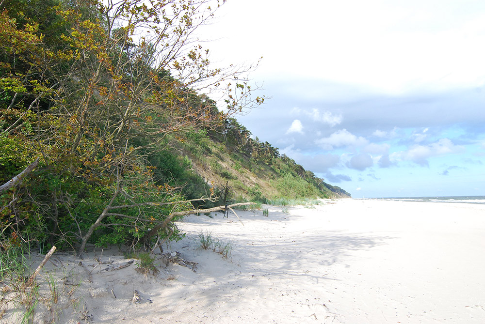 Wędrówka czerwonym szlakiem – leśne i morskie opowieści - 1