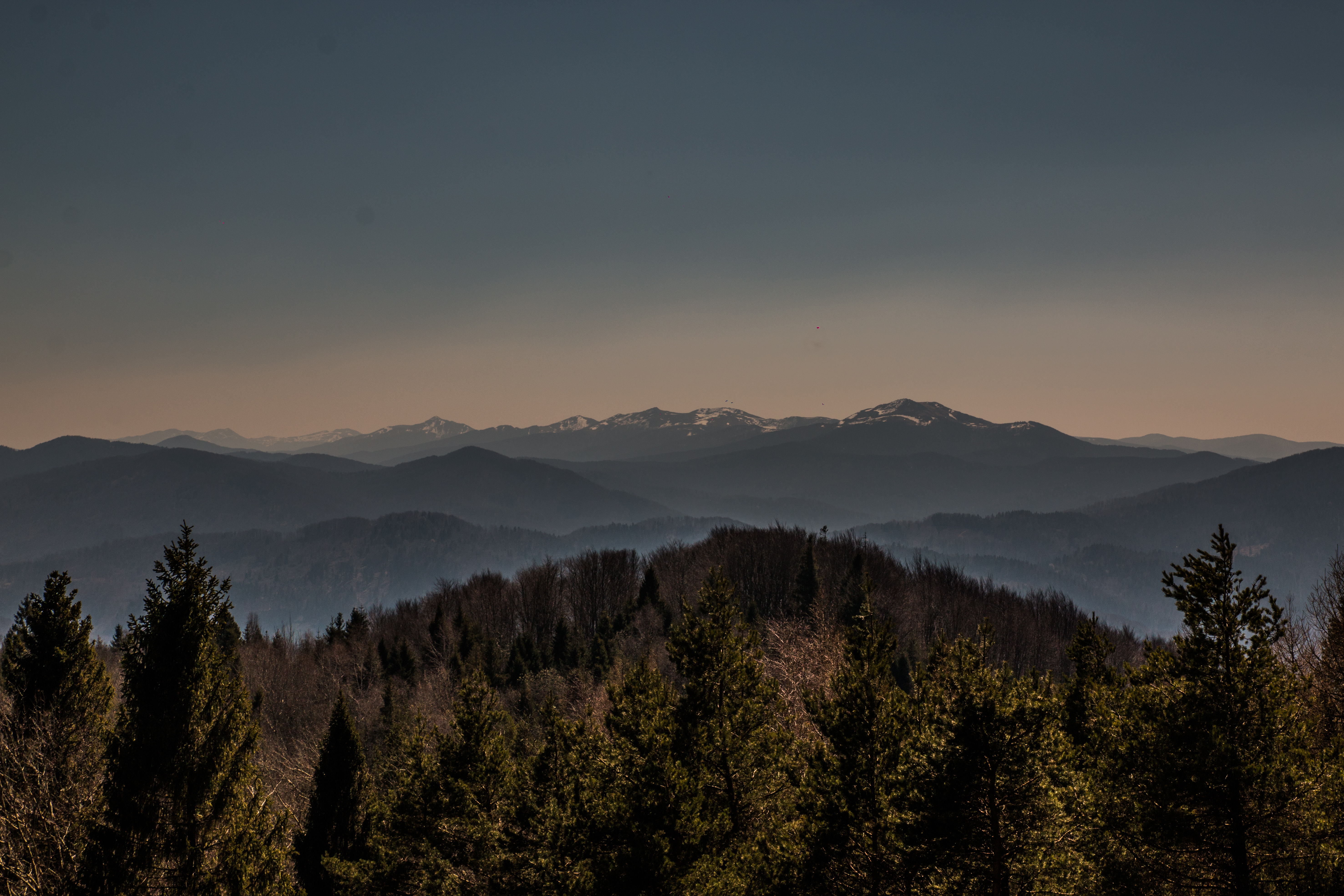 Ciekawostki Bukowca - 1