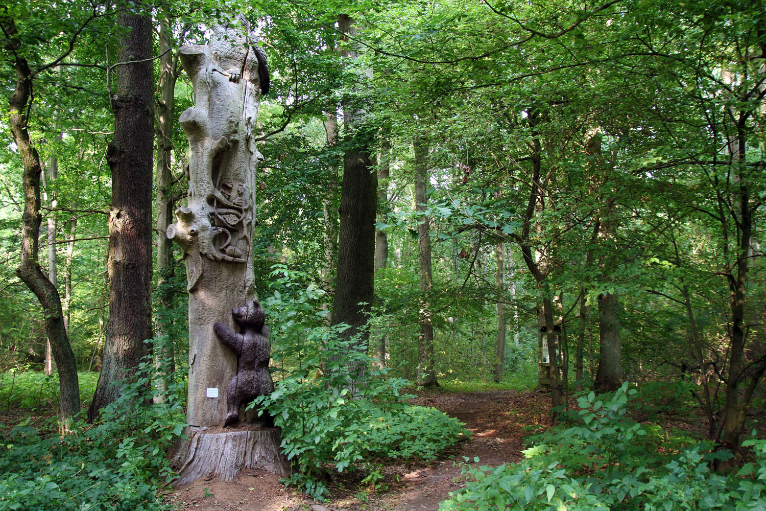Szlakiem przyrodniczych podbojów Złotowa – wielkopolskich zdrojów - 1