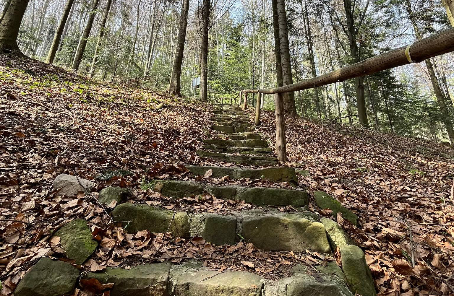 W poszukiwaniu wody leczniczej w Żegocinie - 1