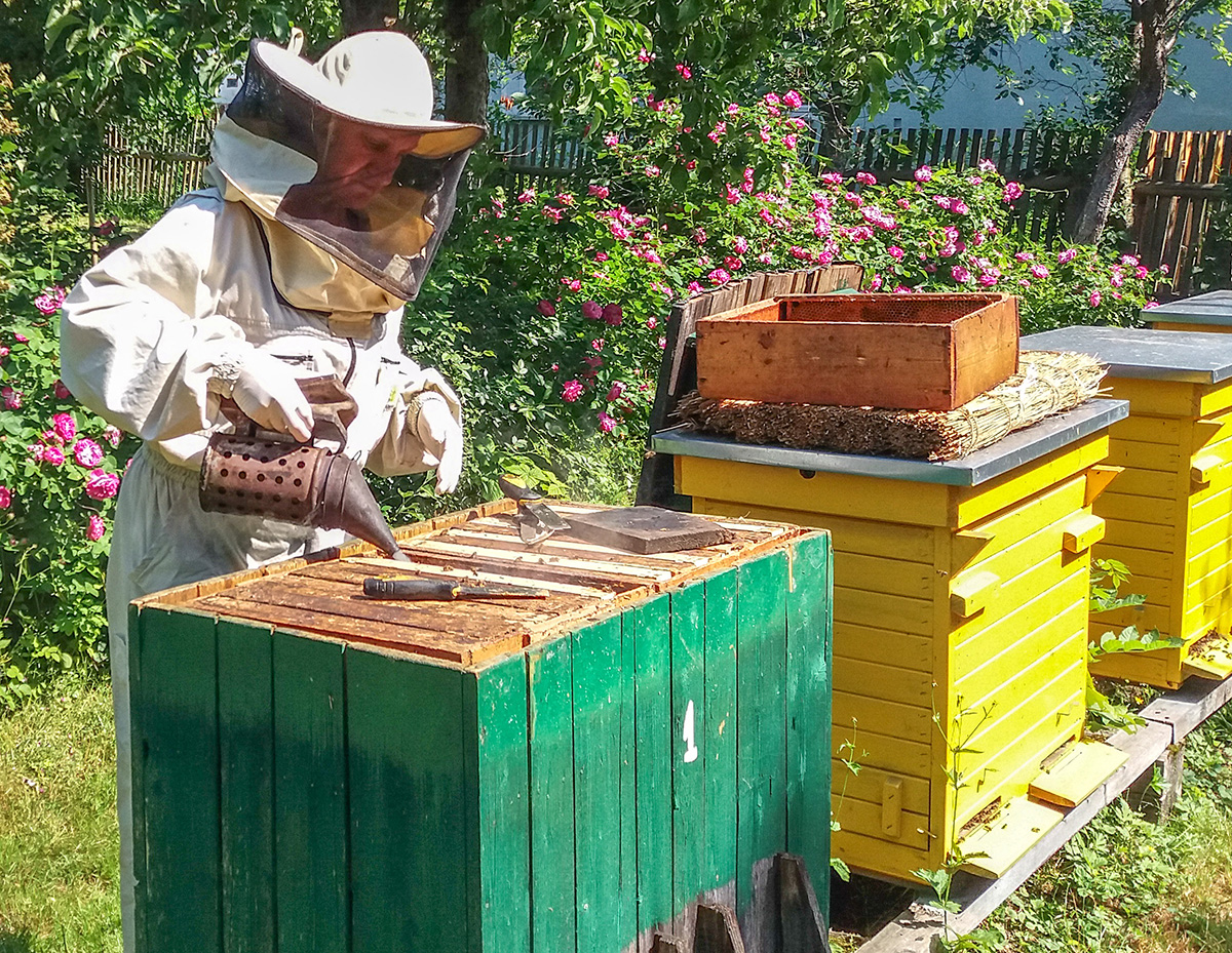 Co słychać w pogwizdowskiej pasiece?