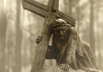 Tajemnica Rożnowskich Lasów - 1