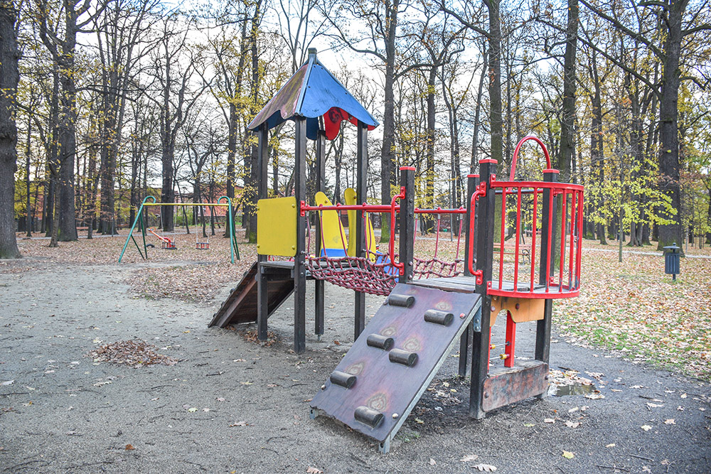 Z Tygryskiem brykanie na świdnickich placach zabaw - 1