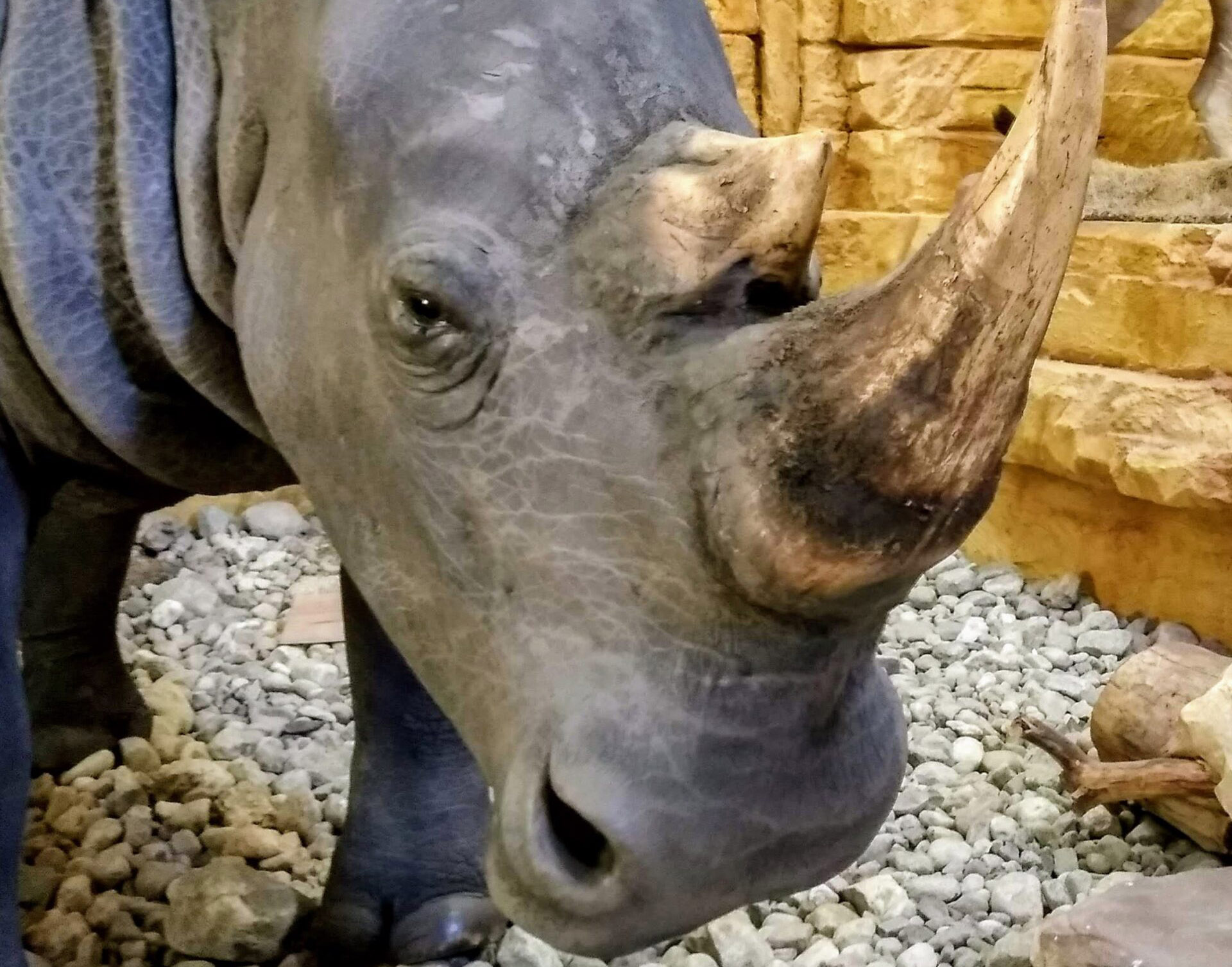 ​​​​​​​Muzealna przygoda z Lucyną - 1