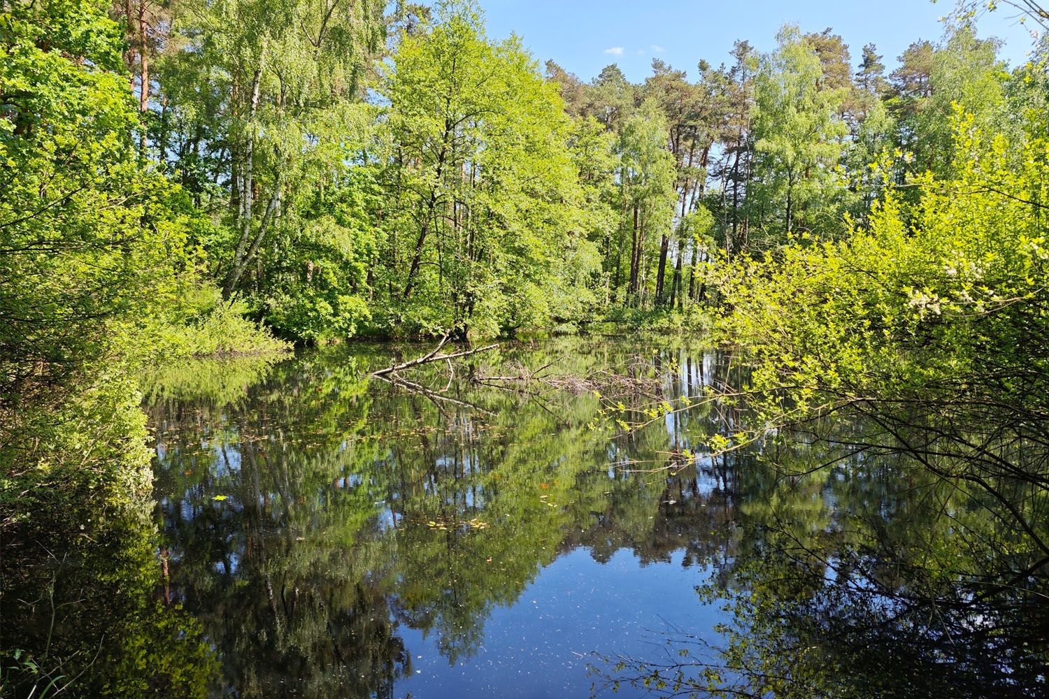 W puszczy, w rzek dolinach. Rajd przez gminę Drwinia - 1