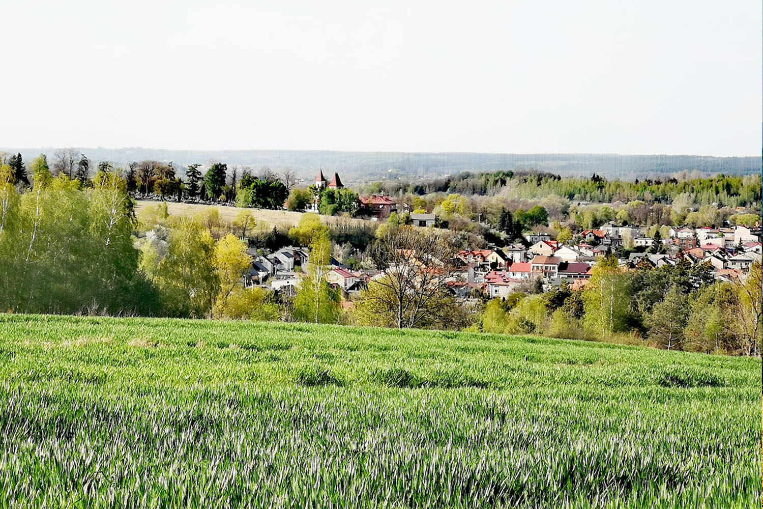 Historia Kunowa w kamieniu zapisana - 1