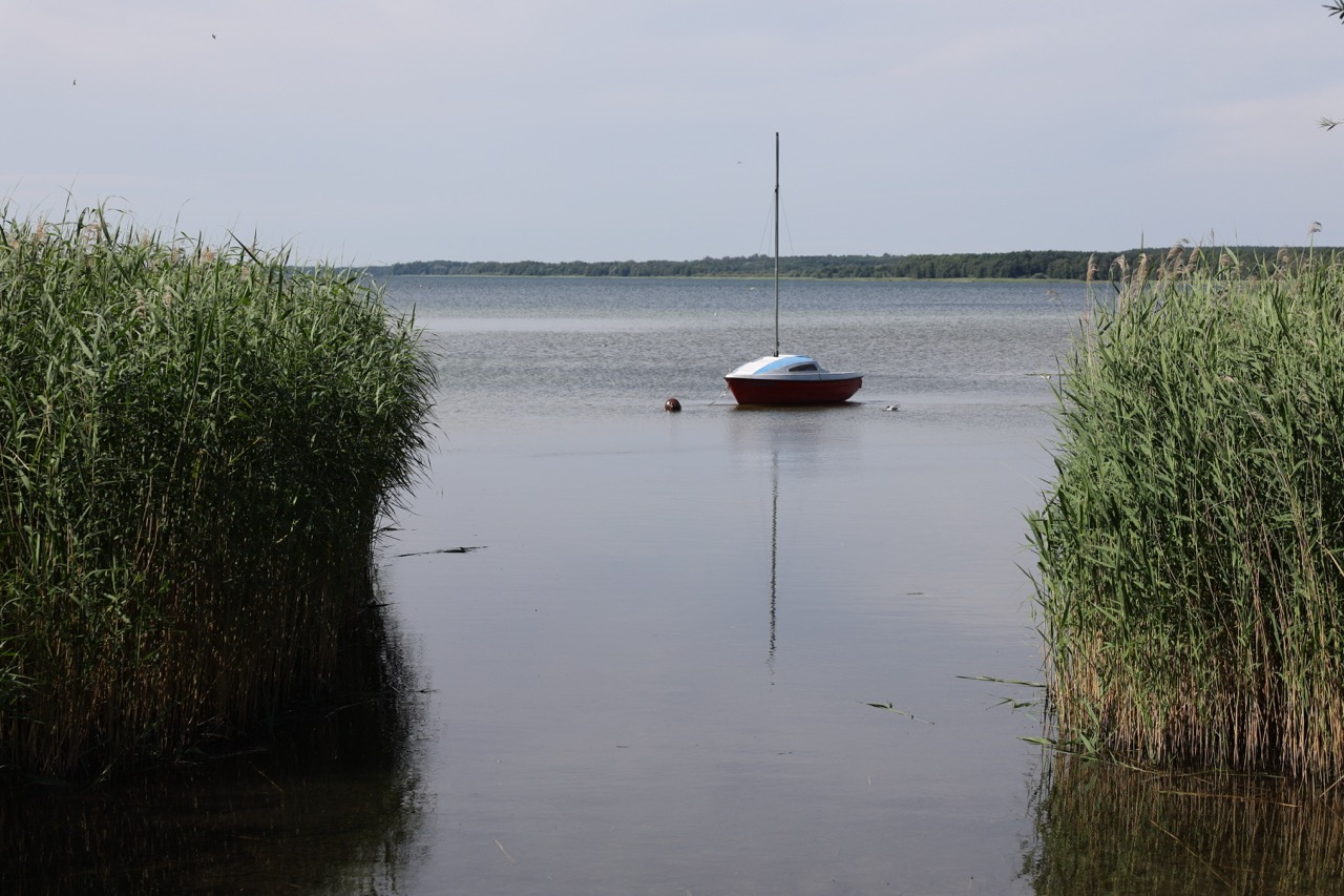 Jezioro Miedwie – tu natura chroni przyszłość
