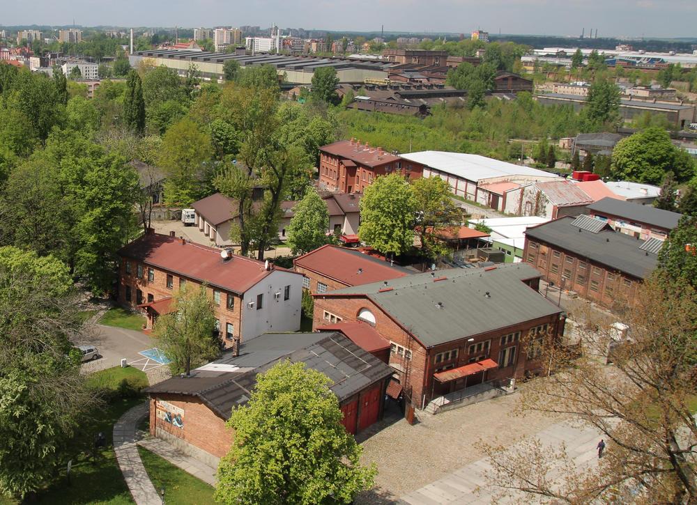 Miasto pudlyrzy, grubiorzy i fusbaloków - 1