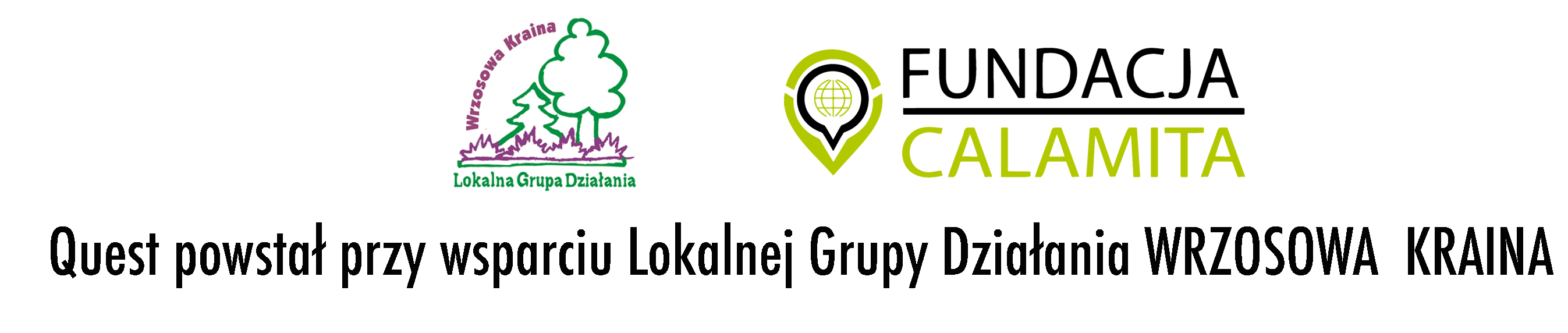 Drzewa  parku w Chocianowie