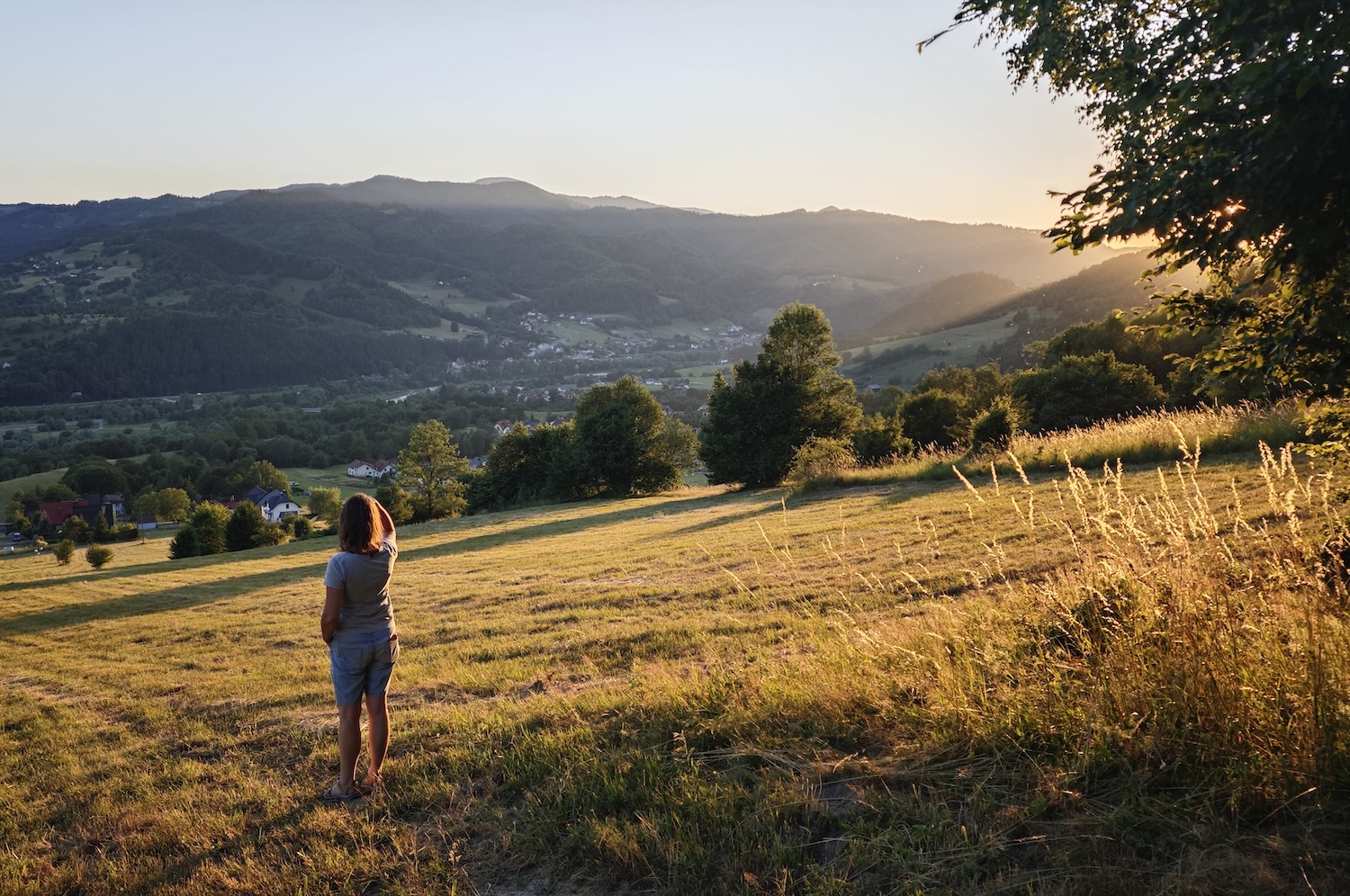 Od bacy do knopa - 1