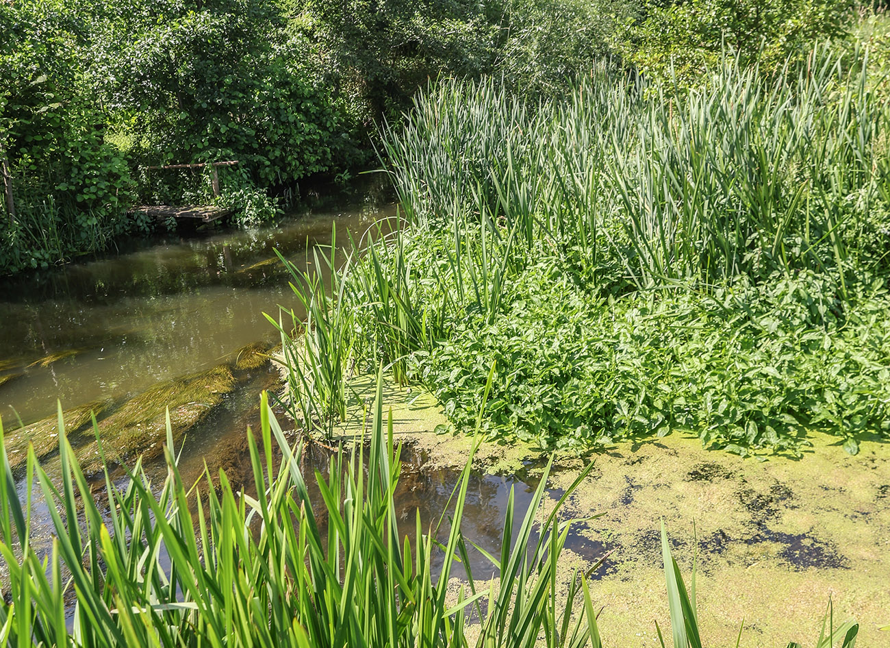Dowody na wielkie znaczenie wody w Starej Kiszewie - 1