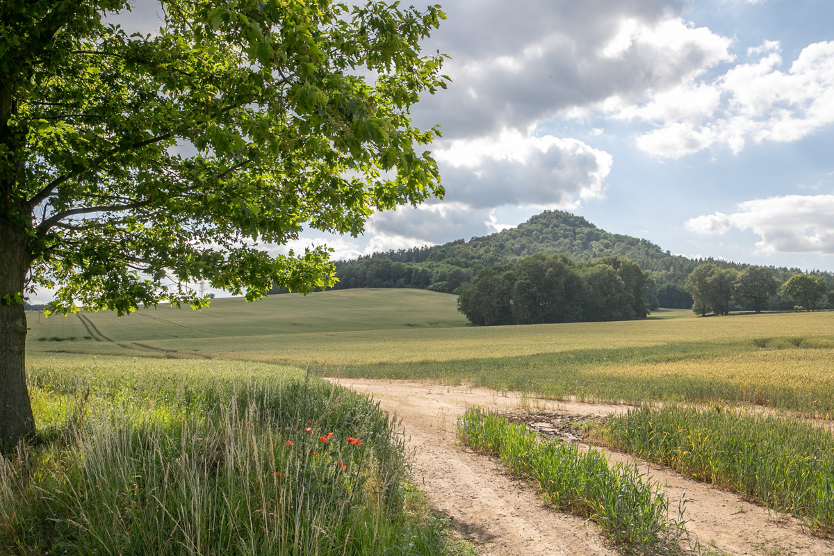 Wybuchowy spacer na wygasły wulkan - Ostrzycę - 1