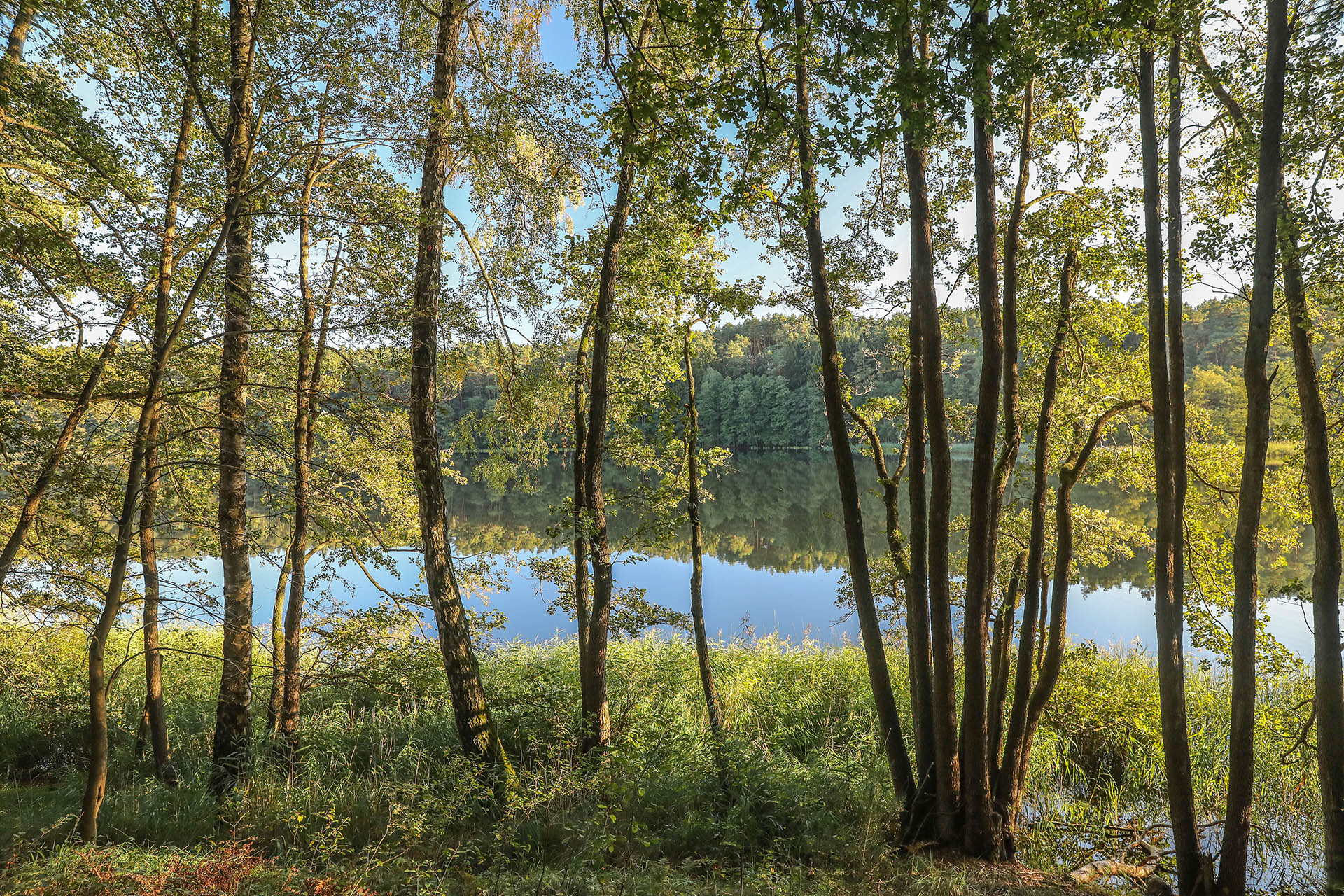 Rowerem wokół jeziora Lubie - 1