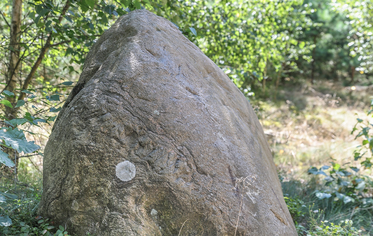 Po eratyki nad Jezioro Wdzydzkie - 1