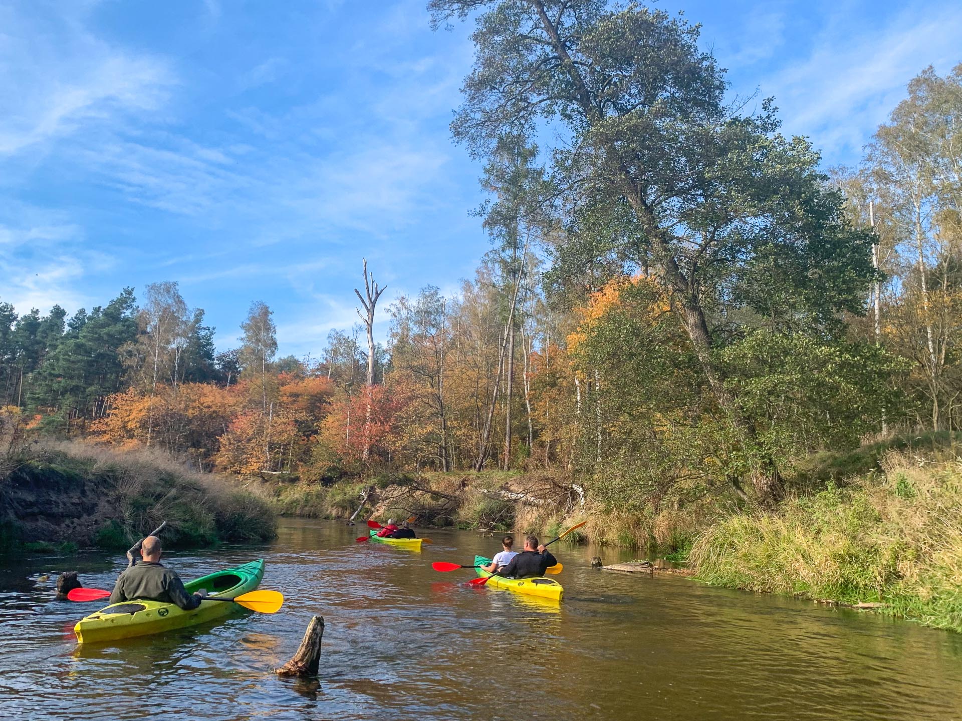 Meandrami Małej Panwi - 1
