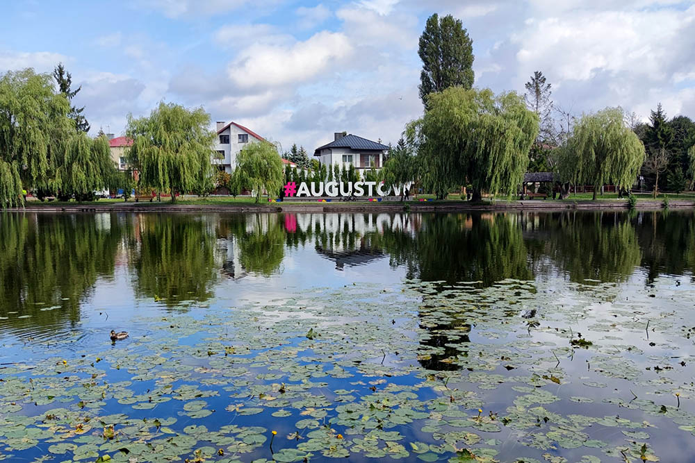 Z królem Zygmuntem po Augustowie - 1