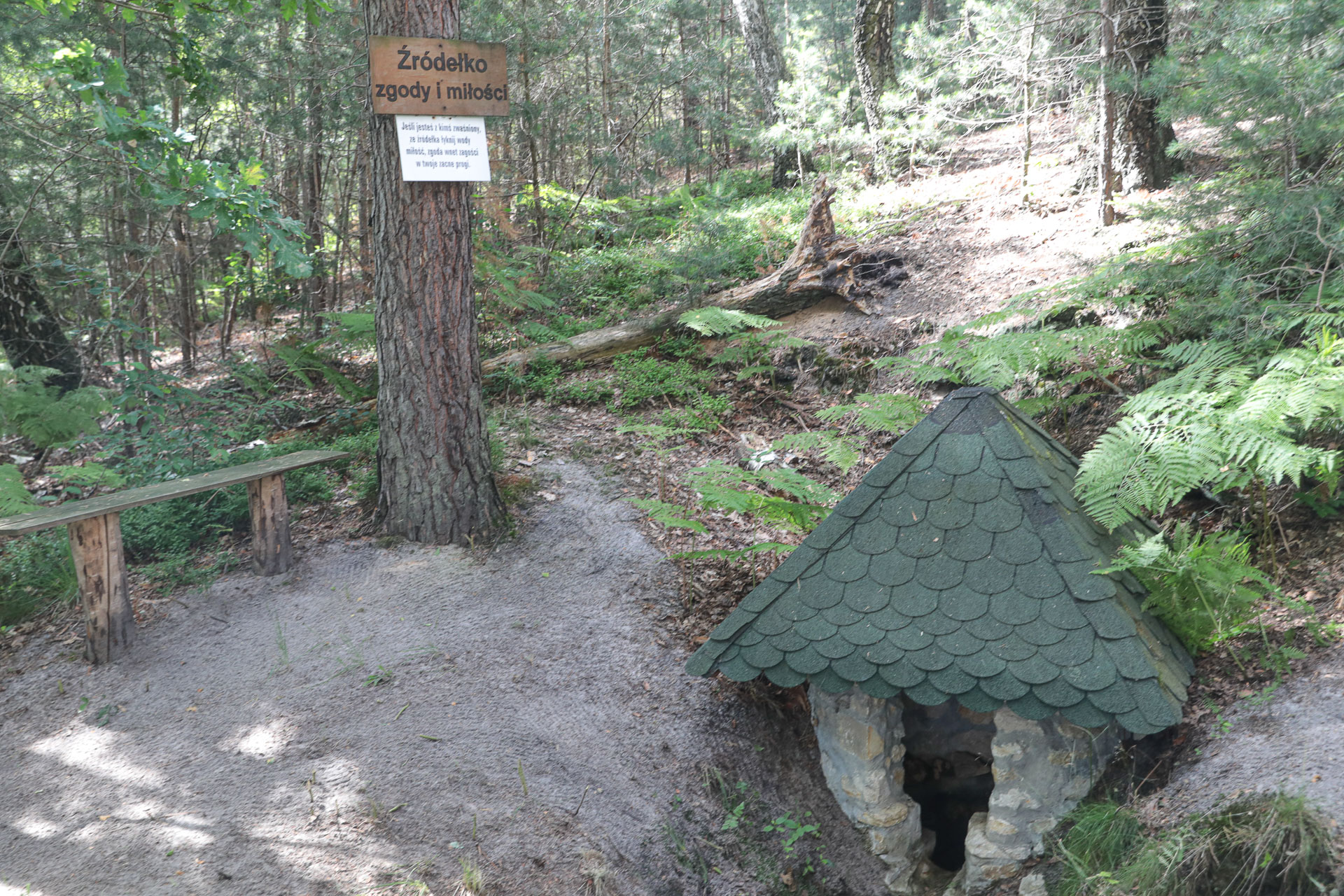 Poszukiwanie opolskiego dinozaura - 1