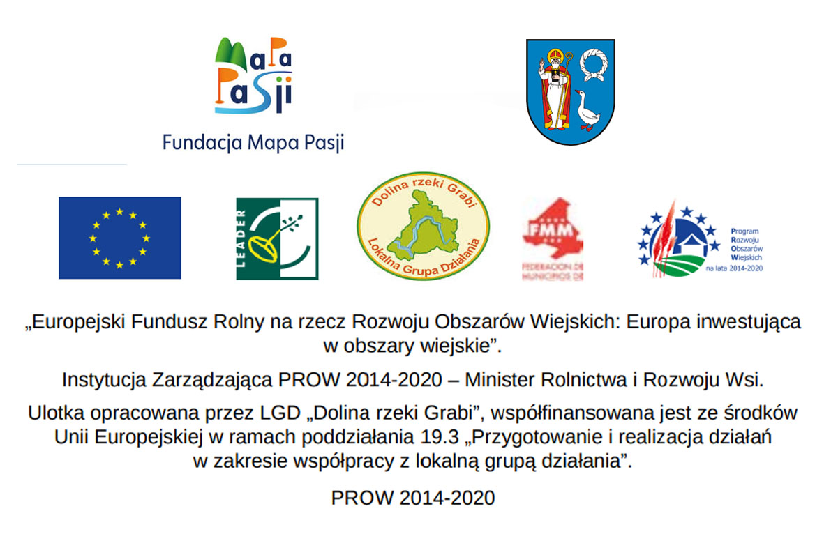 Zagadki w drzewach zaklęte