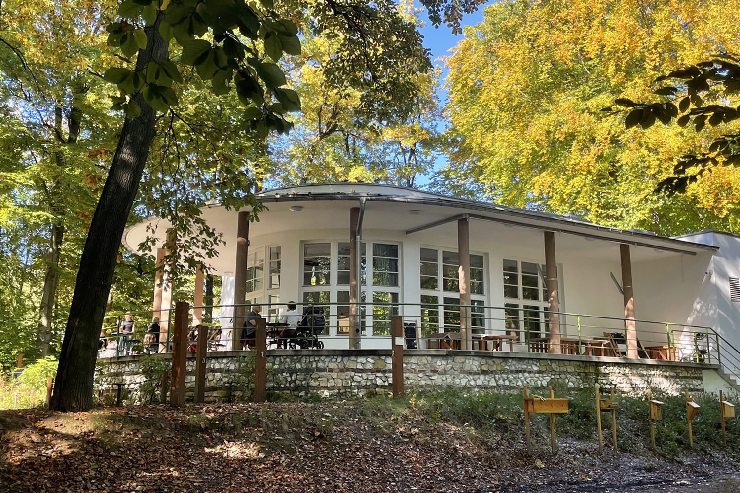 Zielony skarb Krakowa - 1