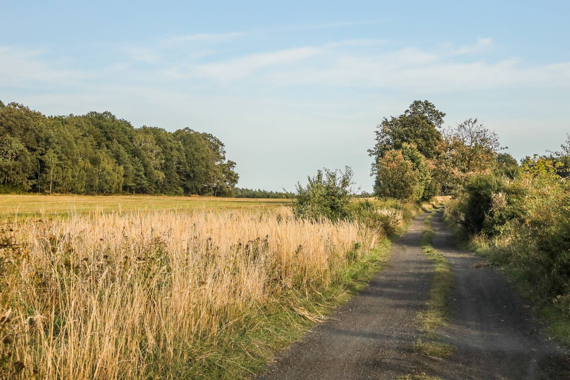 W poszukiwaniu tronu Duszka Wędrownego - 1