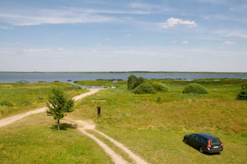 Przyrodnicze wędrówki brzegiem Siemianówki - 1