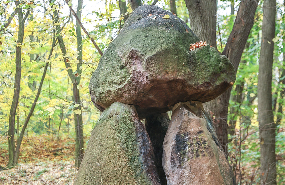 Przedszkolak liczyć potrafi! Zmagania z matematyką w Chojnowie - 1