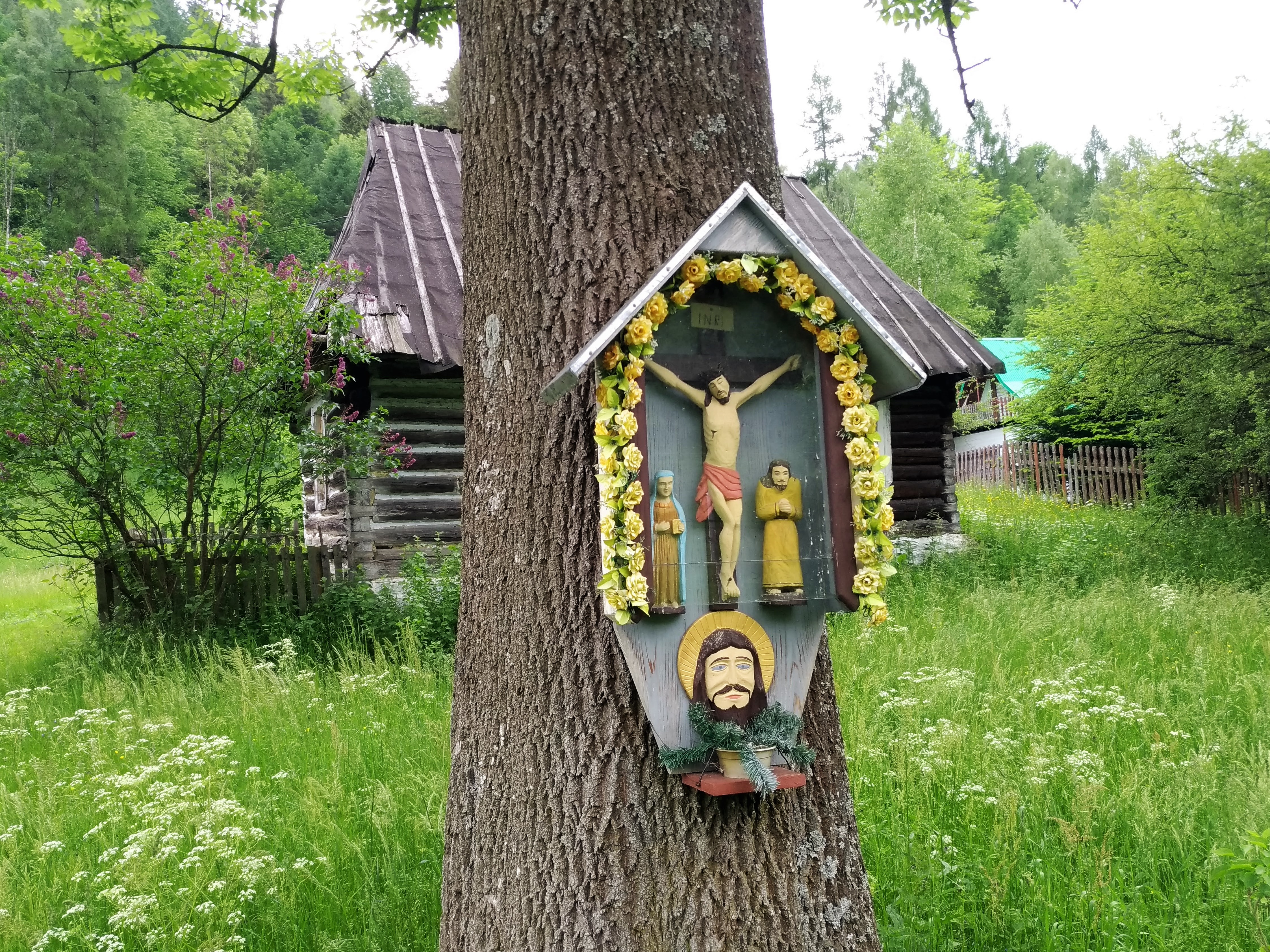 Czarna Woda - na rusnackim szlaku - 1