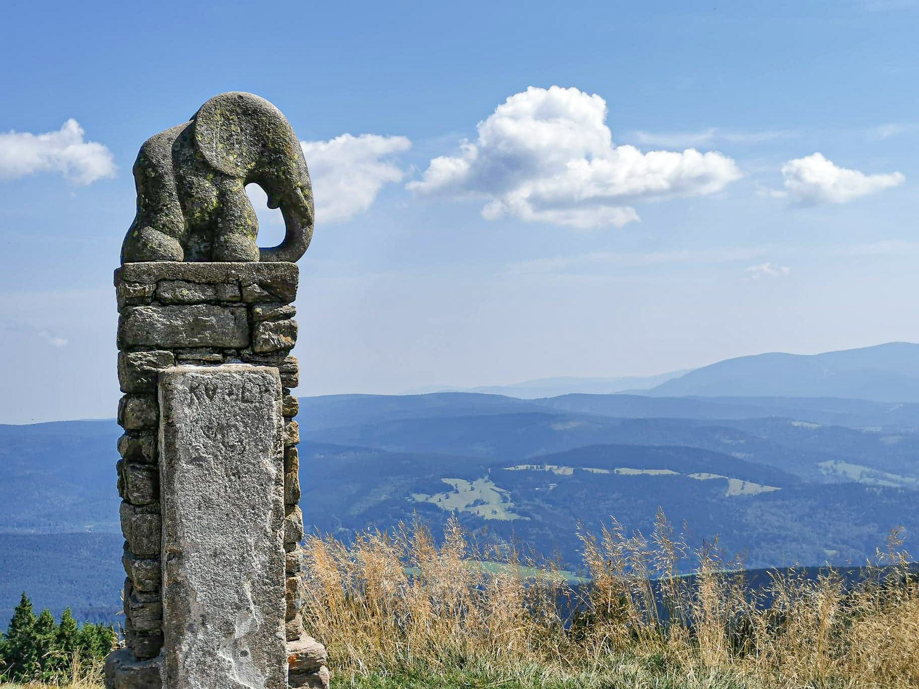 O kozicy i słoniku na Kłodzkim Śnieżniku - 1