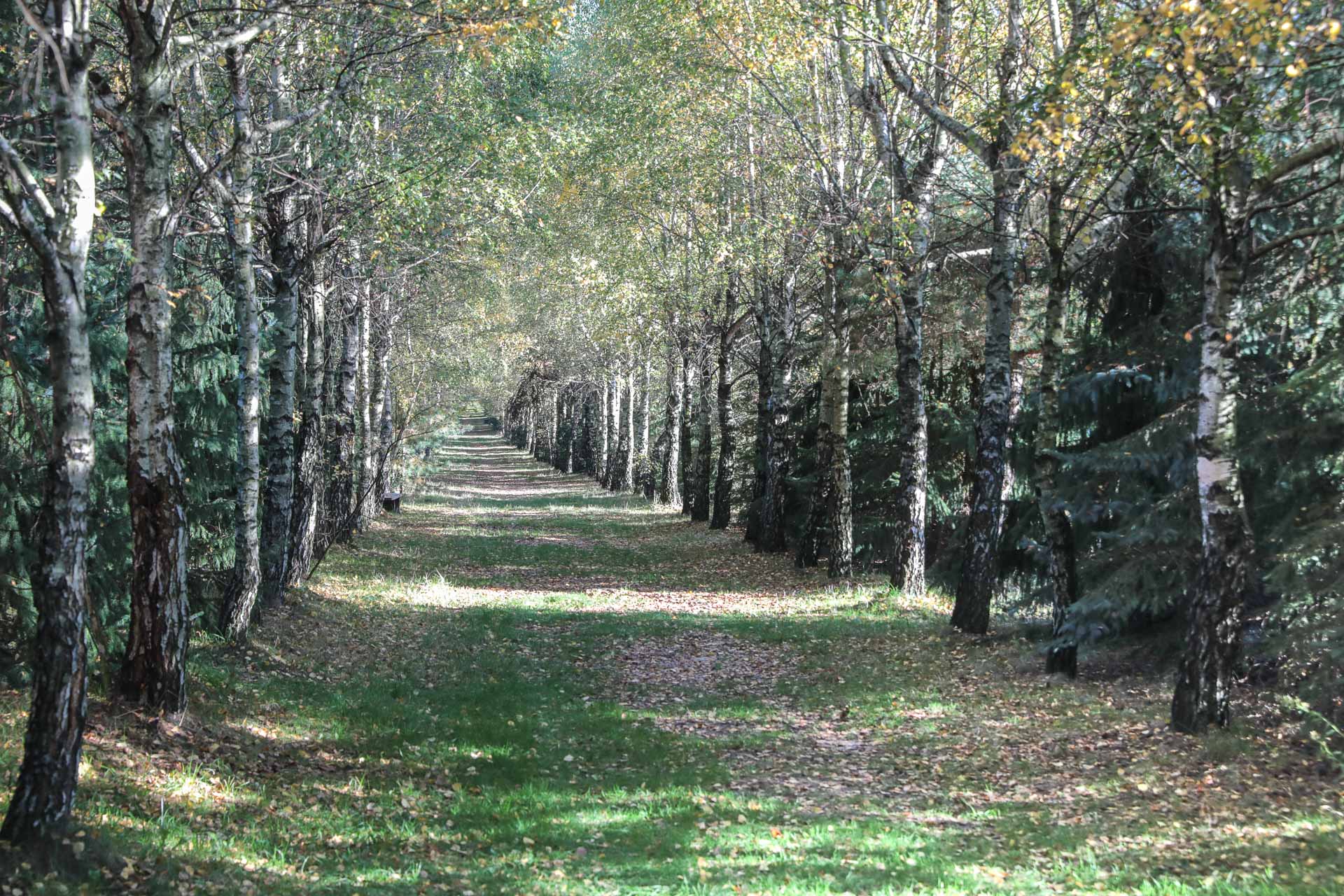 Tajemnice Sokolich Gór - 1