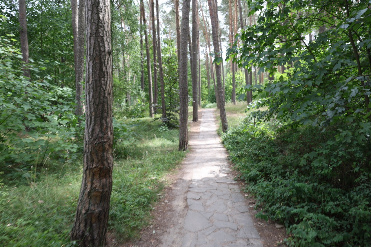 „Klimatyczna” wyprawa przez Goleniów