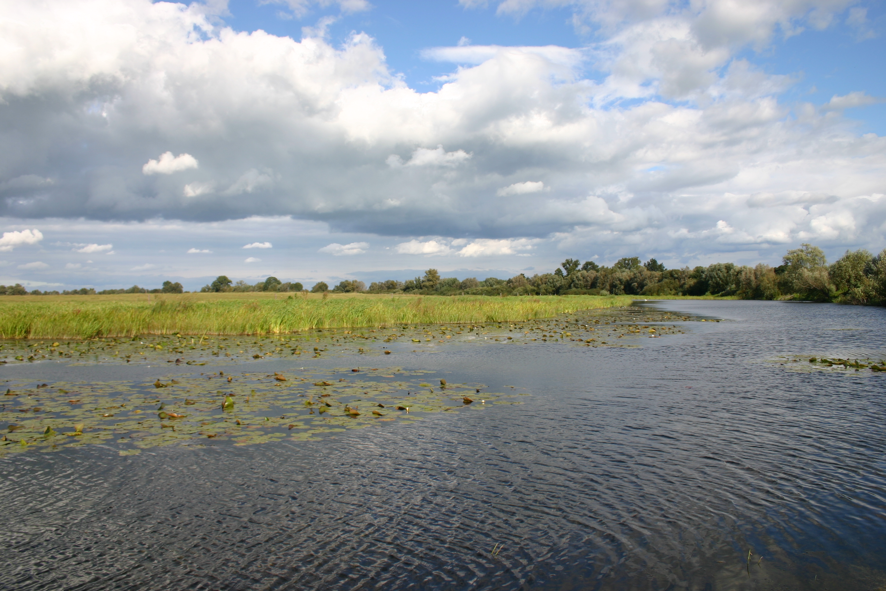 Studzionka – życie nad rzeką… - 1