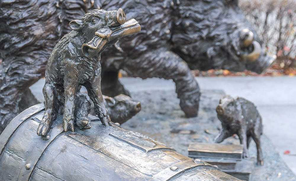 Z Kubusiem Puchatkiem w poszukiwaniu świdnickich zwierzątek - 1