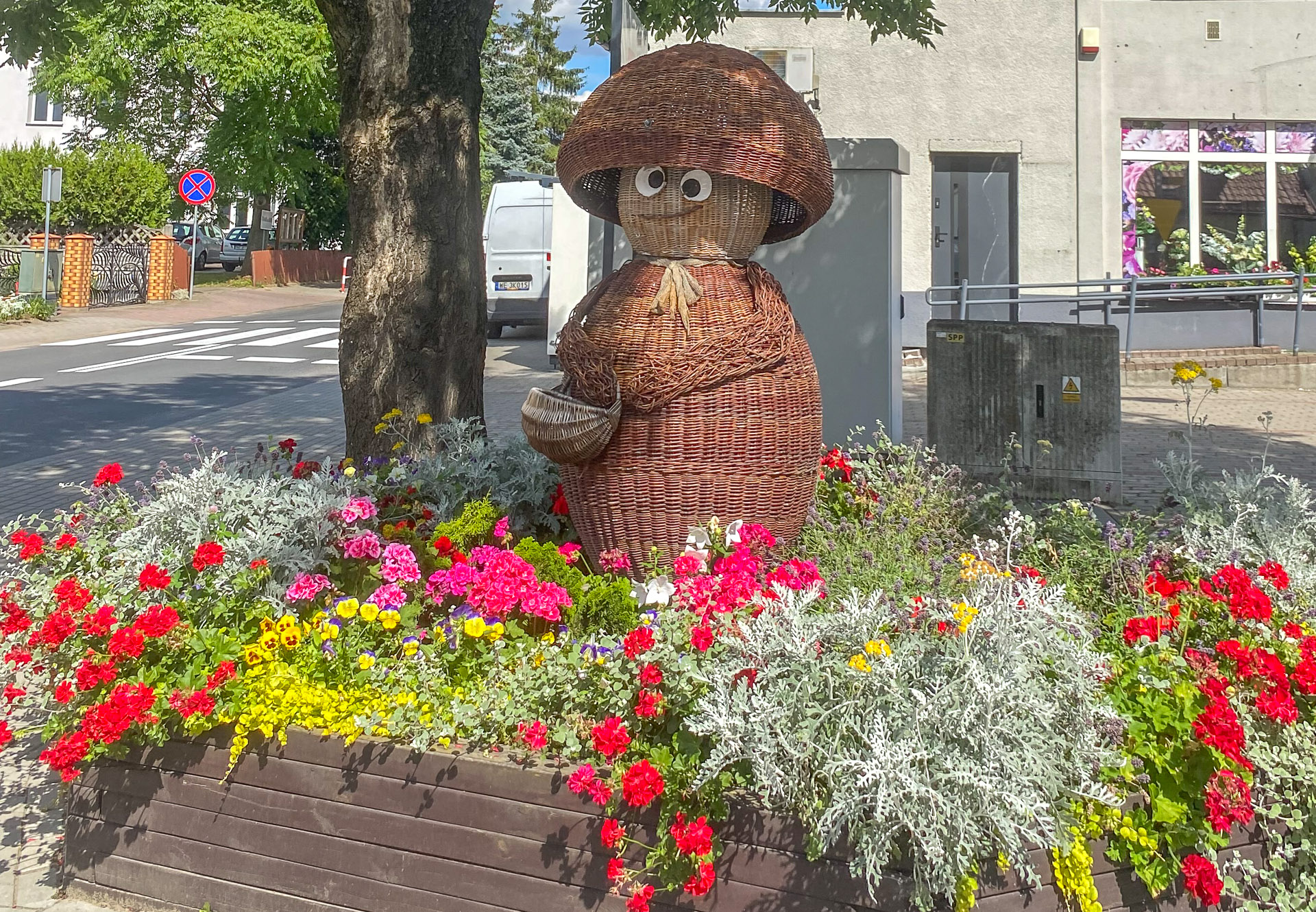 Opowieść o Bolewicach wikliną wyplatana - 1