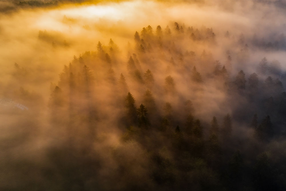Co w Dolinie Łopacińskiego piszczy? - 1