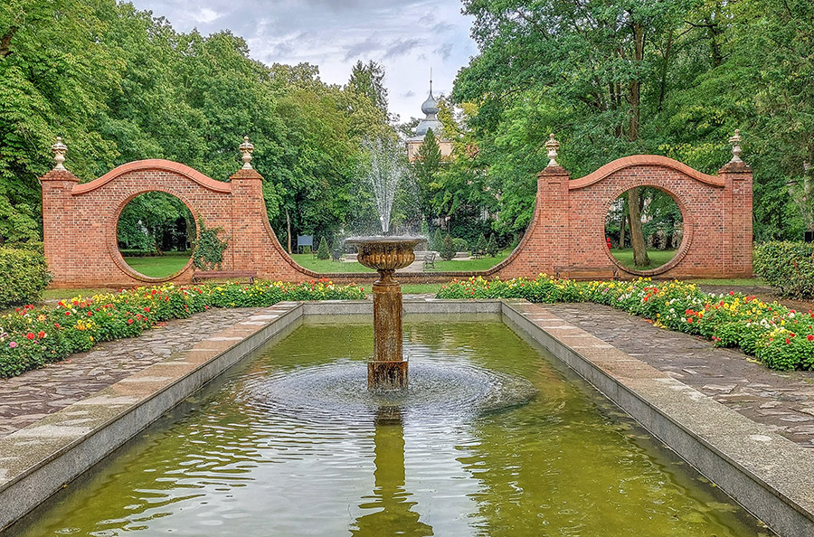 Po parku w Iłowej wędrowanie i roślin odkrywanie - 1